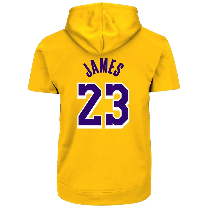 Profile LeBron James Los Angeles Lakers Big Tall Pullover Short Sleeve Hoodie