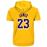 Profile LeBron James Los Angeles Lakers Big  Tall Pullover Short Sleeve Hoodie
