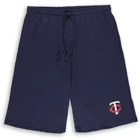 Profile Minnesota Twins Big  Tall T-Shirt Shorts Combo Set