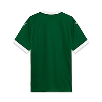 Puma SE Palmeiras 2025 26 Home Replica Jersey