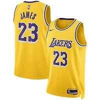 Unisex Nike LeBron James Los Angeles Lakers Swingman Jersey