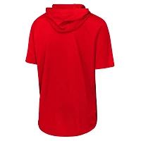 Youth Nike Philadelphia Phillies Dri-FIT Hooded T-Shirt