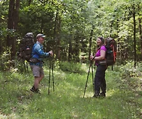 Alps Mountaineering Alliance Trekking Poles