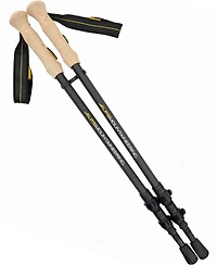 Alps Mountaineering Alliance Trekking Poles