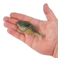 Berkley Gilly PowerBait 3-Pack