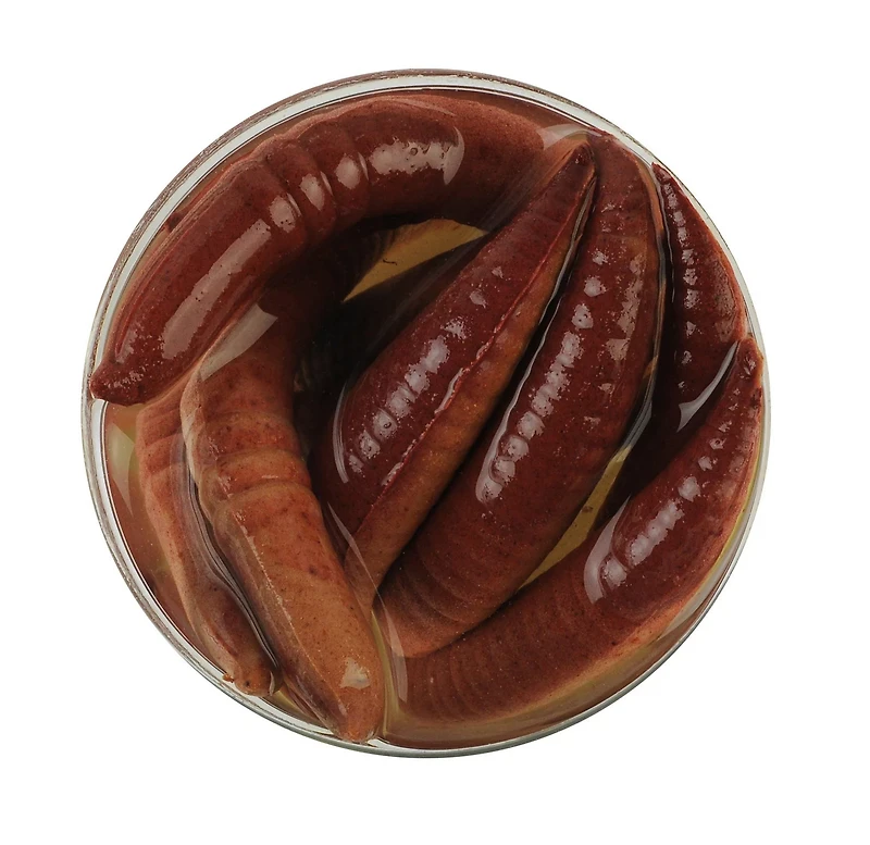 Berkley Gulp! Alive! Floating Pinched Crawler 2 in Nightcrawler Soft Bait Jar