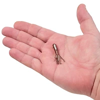 Berkley PowerBait® 1/16 oz Pre-Rigged Atomic Tubes 5-Pack