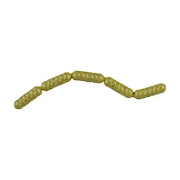 Berkley PowerBait Power Wigglers 75-Pack