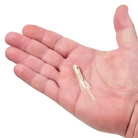 Berkley PowerBait Pre-Rigged 1/16 oz Atomic Teasers 3-Pack