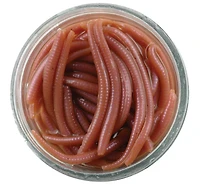 Berkley Gulp Alive Angle Worm 1 Jar