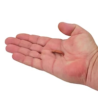 Berkley Gulp! Original Scent 2 in Floating Pinched Crawler 6-Pack