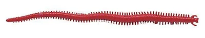 Berkley Gulp Salt Water Sandworm 6 10-Pack