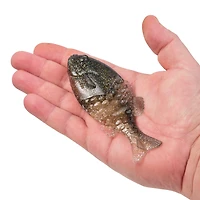 Berkley PowerBait Gilly 5 Soft Bait 2-Pack