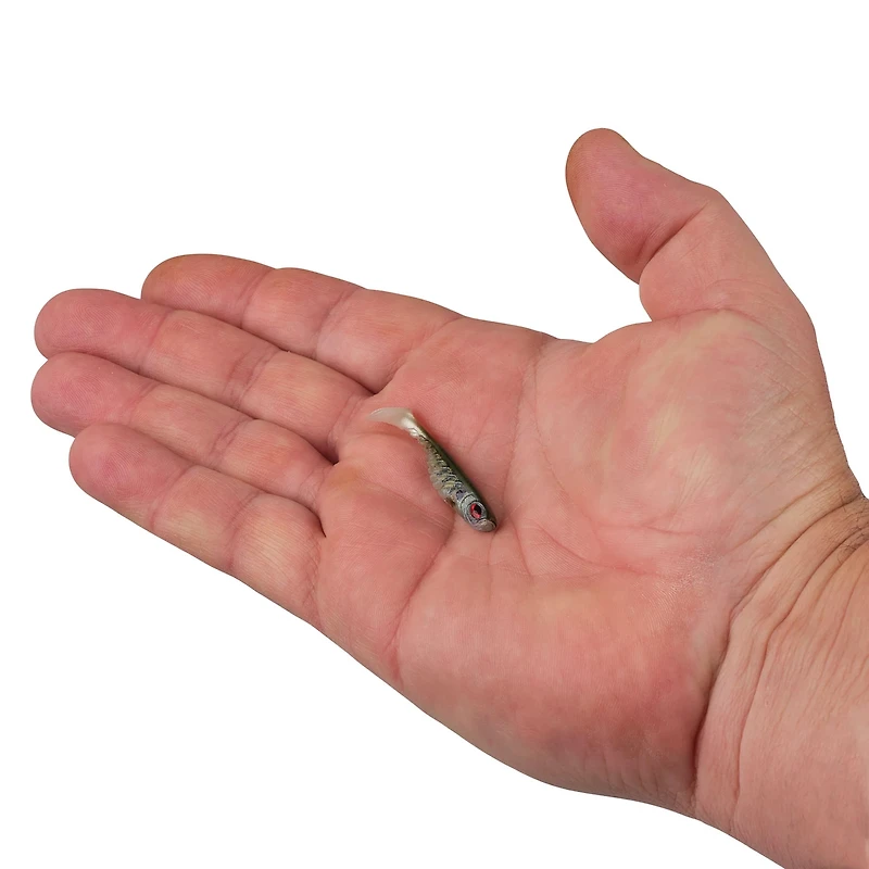 Berkley PowerBait Ripple Shad 2 Smelt Soft Bait 8-Pack