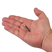 Berkley PowerBait Ripple Shad 2 Smelt Soft Bait 8-Pack