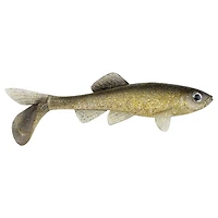 Berkley PowerBait Sick Fish Soft Bait 5-Pack