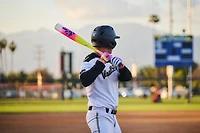 EASTON The Dub 2025 USSSA Senior League Bat