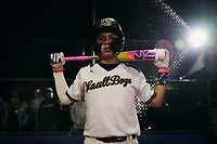 EASTON The Dub 2025 USSSA Senior League Bat -8