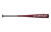Easton Youth Quantum USSSA Baseball Bat -8