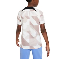 Youth Nike Tottenham Hotspur 2023/24 Academy Pro Performance Pre-Match Top