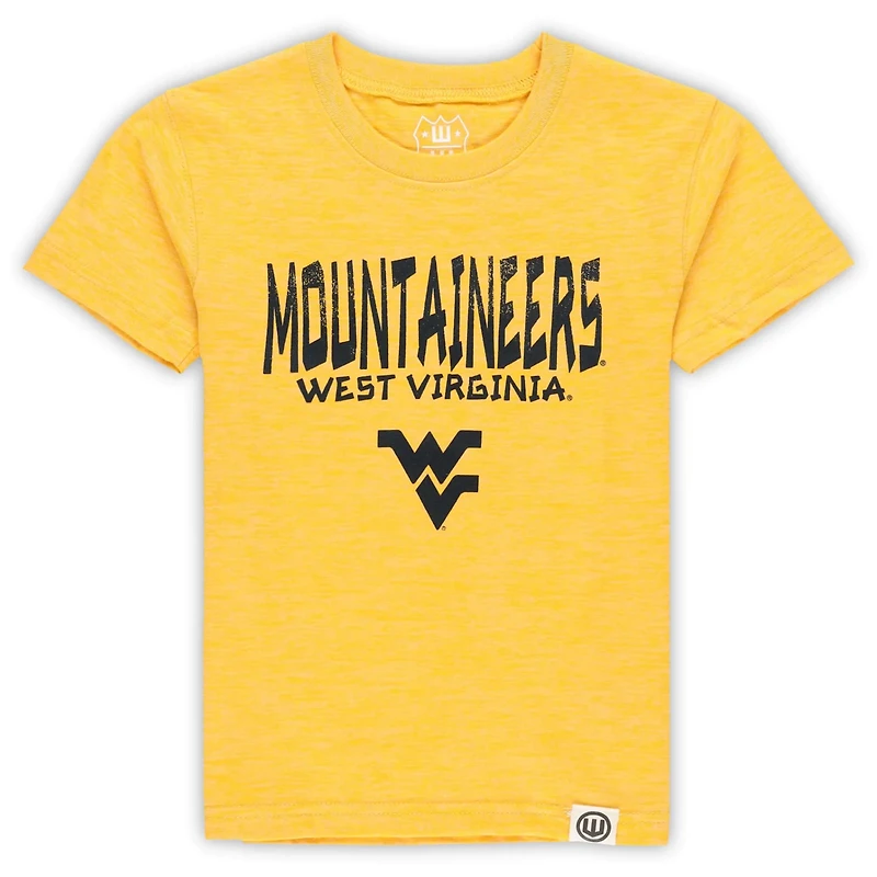 Wes  Willy West Virginia Mountaineers Cloudy Yarn T-Shirt Shorts Set
