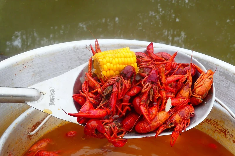 Bayou Classic 40 in Stainless Bayou Spoon