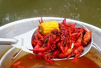 Bayou Classic 40 in Stainless Bayou Spoon