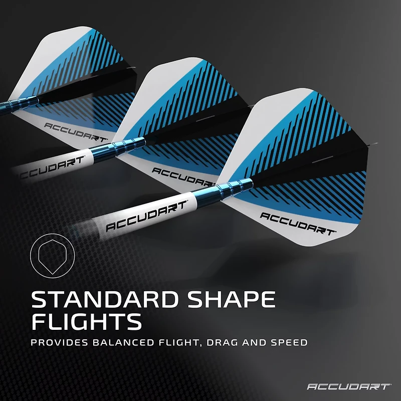 Accudart Steel Tip Dart Set 6.0