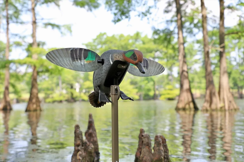 MOJO Outdoors Elite Series Green Wing Teal Remote Ready 3 Pin Duck Decoy