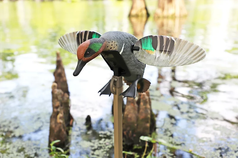 MOJO Outdoors Elite Series Green Wing Teal Remote Ready 3 Pin Duck Decoy