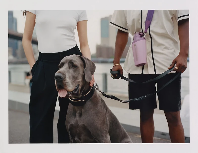 Stanley 23 oz. Cross Bottle