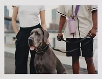 Stanley 23 oz. Cross Bottle