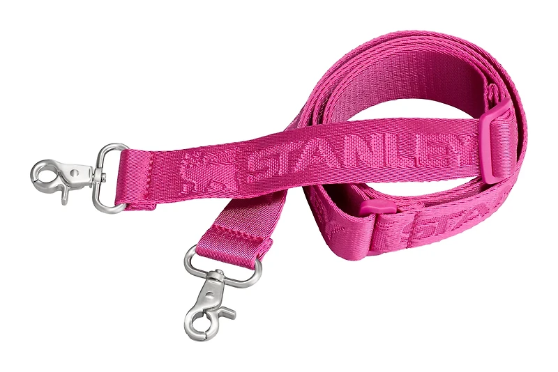 Stanley 40oz Quencher All Day Carry-All