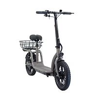 GOTRAX Flex Campus E-Scooter
