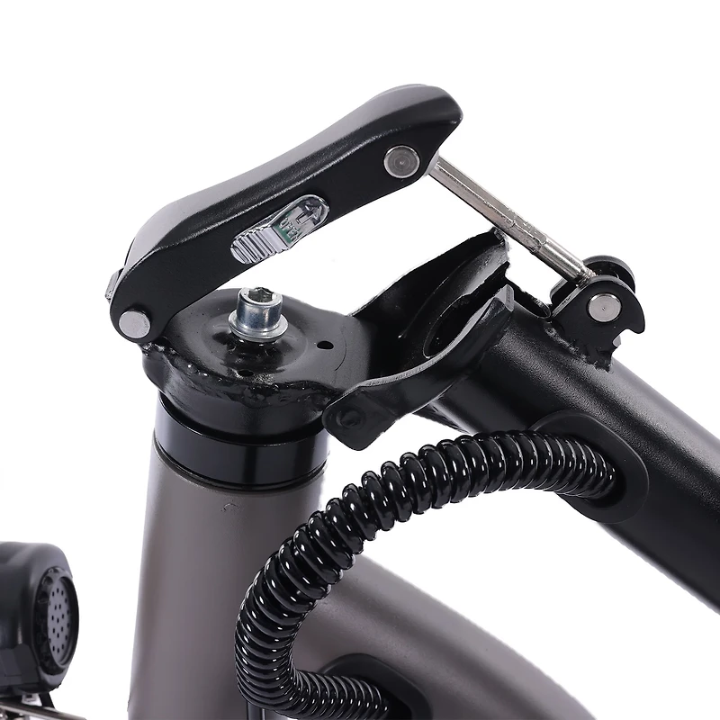 GOTRAX Flex Campus E-Scooter