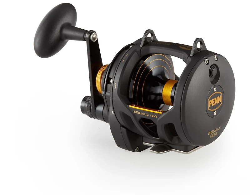 PENN Squall Lever Drag 2 Speed Reel