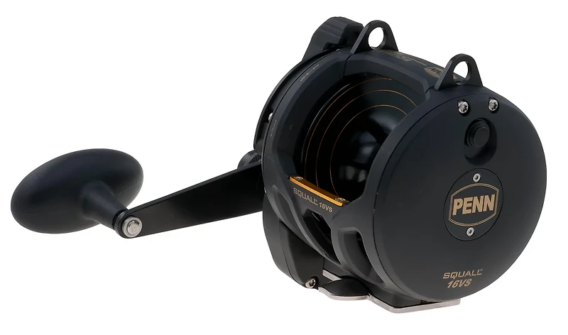 PENN Squall Lever Drag 2 Speed Reel
