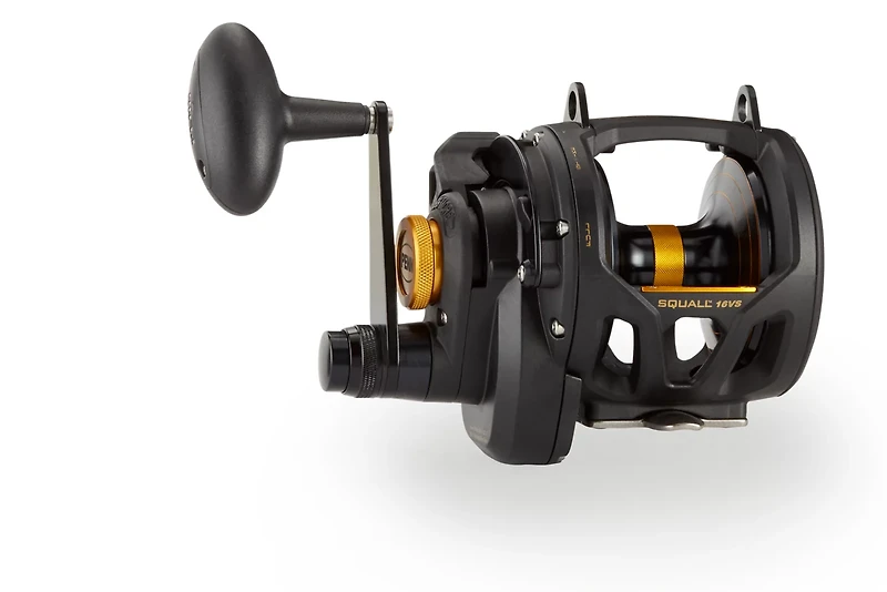 PENN Squall Lever Drag 2 Speed Reel