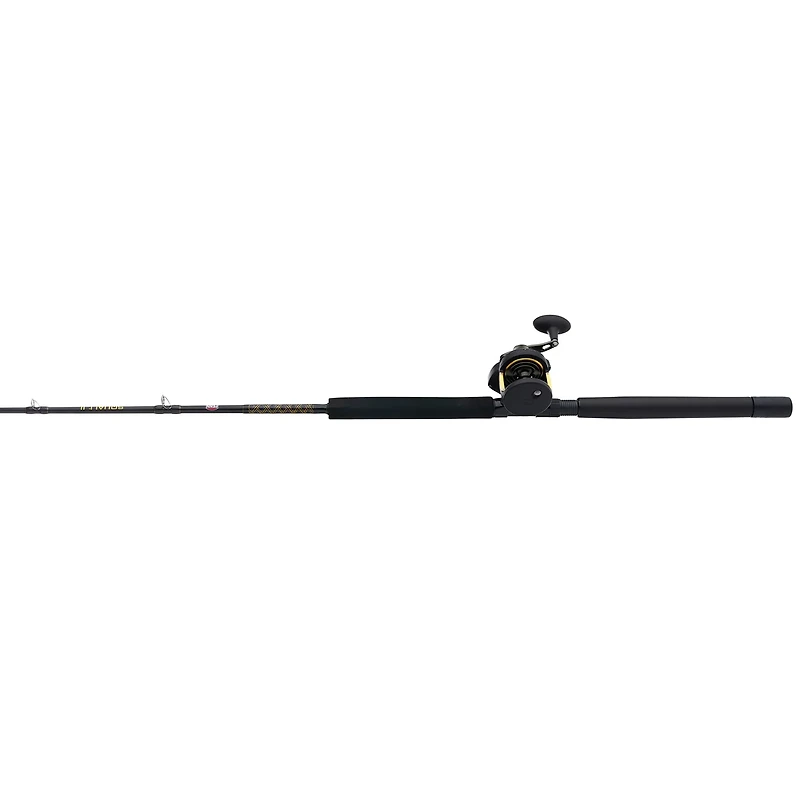 PENN Squall II 30 Lever Drag Combo
