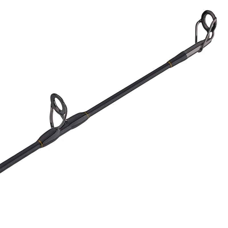 PENN Squall II 30 Lever Drag Combo