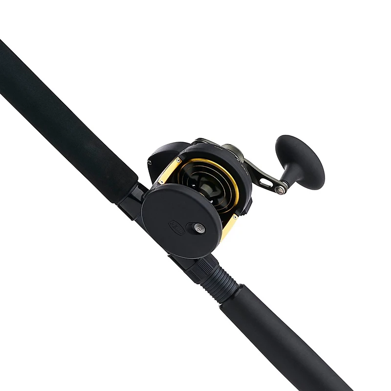 PENN Squall II 30 Lever Drag Combo