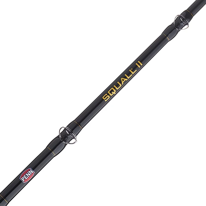 PENN Squall II 30 Lever Drag Combo