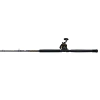 PENN Squall II 40 Lever Drag Combo