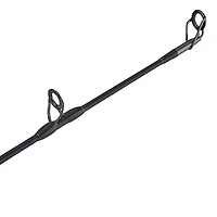 PENN Squall II 40 Lever Drag Combo