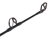 PENN Squall II 50 Lever Drag Combo