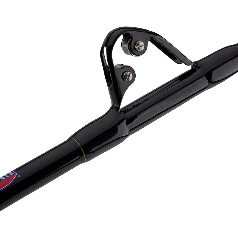 PENN Squall II 60 Lever Drag Combo