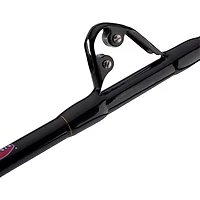 PENN Squall II 60 Lever Drag Combo