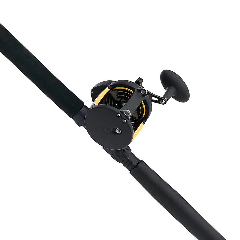 PENN Squall II 60 Lever Drag Combo