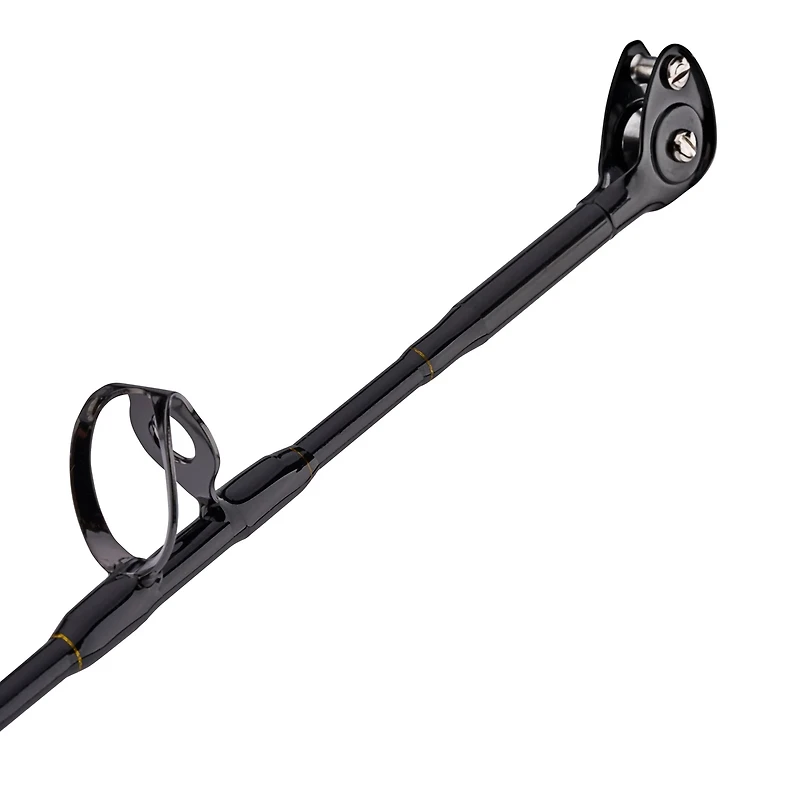 PENN Squall II 60 Lever Drag Combo