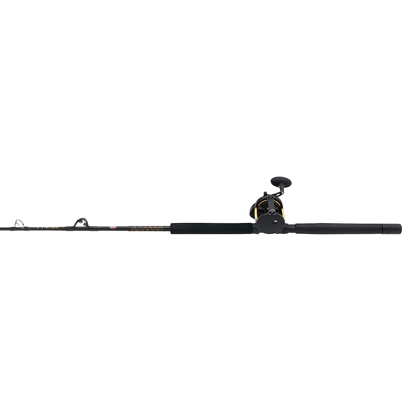 PENN Squall II 60 Lever Drag Combo